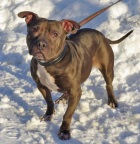 ���� ��������������� ����������  ����� �����, ������