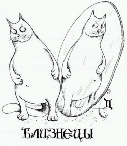 кошачий гороскоп, гороскоп для кошек