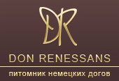   -,    Don Renessans -    - 
