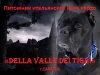   "Della Valle Dei Tigri".     