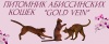 Фото Питомник Питомник абиссинских кошек "GOLD VEIN". Абиссинская кошка   