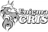   ( )   ENIGMA GRIS