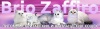 фото Британская кошка Шиншилла Шотландская вислоухая Скоттиш страйт, Шотландская короткошерстная, Хайленд фолд, Хайленд страйт питомник кошек BRIO ZAFFIRO