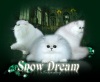  SNOW DREAM. Персидская кошка