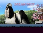  - "Dream shop"