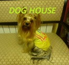    &      Dog House, . 