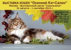 Фото Международная выставка кошек "Осенний Кэт-Салон" 31 авг. - 1 сент. 2013 г. в Сокольниках Москва